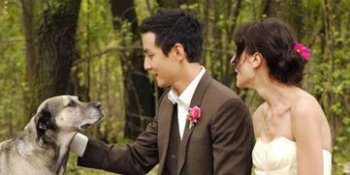 ������������ĸ����� ������8���Lisa Selesner���ϷǾ��л���