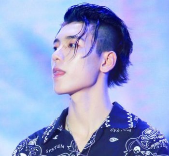 ����͢ӦԮɫ��ʲô ӦԮɫ�ǳ�����
