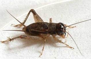 �����м����� ��6���ȸ����ƽ�3��