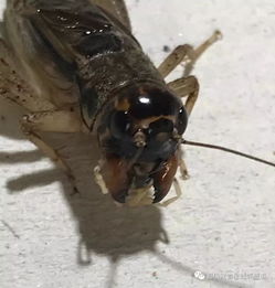 �����м����� ��6���ȸ����ƽ�3��