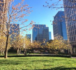 �ֿϹ�԰������ô���� �ٷ������˵�����Talking To Myself����MV