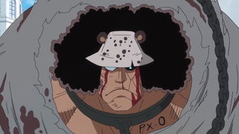 暴君熊为什么自愿改造 可能是为了雪糕国或者波尼