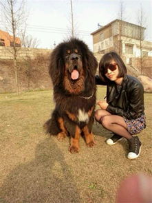 ����Ͳ�����ʲô��ͬ ��������������