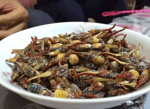 ���ۼ��ıǿ������� ��ũ������ũҩ��ɱ���ۼ�