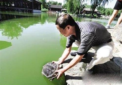 Ϊʲô�����ڹ������� ����򵥿�ݵķ���