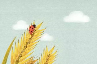 蚰蜒怎么读 是百足虫的一种类型