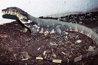 ˮ�����ж��� ϲ����ˮ������������޶�