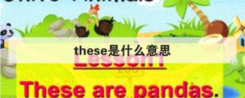 these��ʲô��˼ ���Ӣ�ĵ����кܶ����÷�