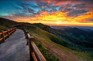 ���ݱϽ��ǲ��Ǻ��� ����������бϽ��ϰ�