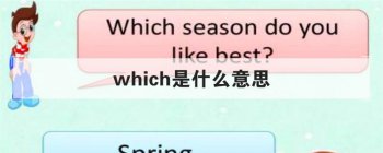 which��ʲô��˼ ���Ӣ�ĵ��ʵ���ȷ�÷�