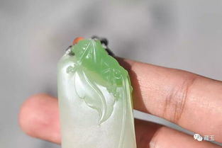 ���н�����ʲôԤ�� ���������ŵ�˵����ȷ�Ǵ󼪴�����