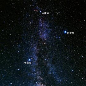 ֯Ů�������ĸ����� ��������������