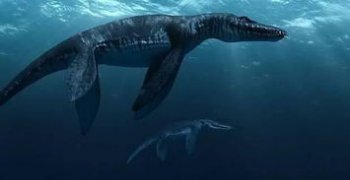 ���ۻ�������ʲô�� ����������Ч��