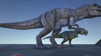 ���ۻ�������ʲô�� ����������Ч��