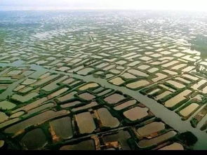 �Ĵ����ǻ��ũҵ���ŵ� �����ڴ��ģ��Ӫ