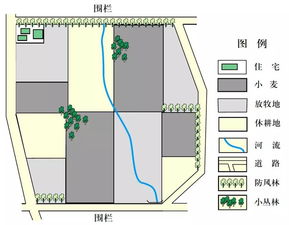 �Ĵ����ǻ��ũҵ���ŵ� �����ڴ��ģ��Ӫ