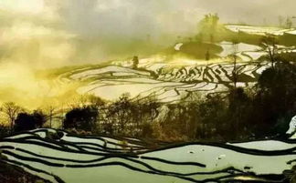 �Ͻ�Ů�޵����������� λ��ɽ�����볤��