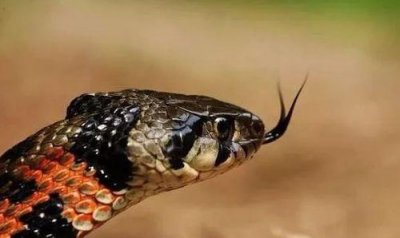 Ұ���������ж��� ���������޶�����