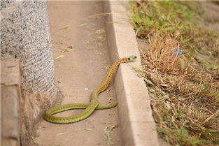 Ұ���������ж��� ���������޶�����