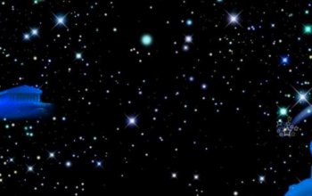 starʲô��˼ Ӣ�ĵ�����ʲô����