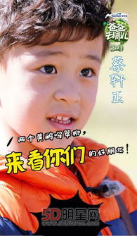 蔡轩正是亲生的吗 私生活又被撕开了一部分