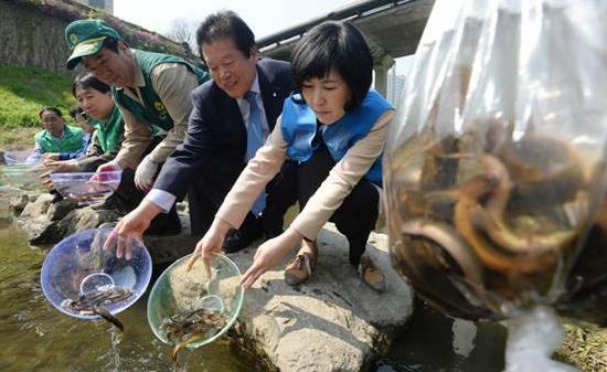 为什么放生泥鳅果报大 放生泥鳅就是健康长寿的因
