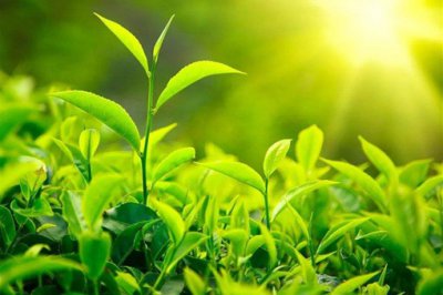 ��˵ũ�������������������ò��� Ϊʲô��ô˵