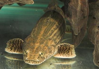 ������������Գ� ������������й������� �ܳ����