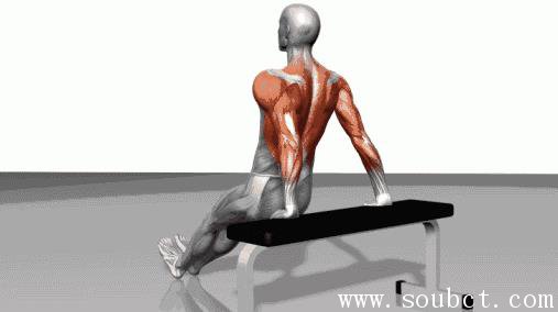人体最大的肌肉 臀大肌占肌肉总重量