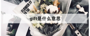 gift��ʲô��˼ �����ĸ���ĸ����