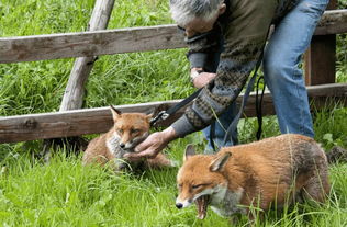 �����ͻ�����һ���� ��ͬһ�ֶ���