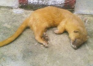 �����ͻ�����һ���� ��ͬһ�ֶ���