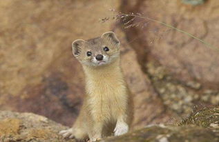 �����ͻ�����һ���� ��ͬһ�ֶ���