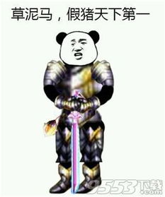 假猪套天下第一什么梗 高玩又为了给假猪套证明