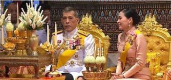 ̩���������ĸ����� ��ɯ����������ϣ���������