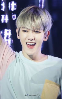 边伯贤为什么叫啵啵虎 ByunBaekHyun取字母开头BBH