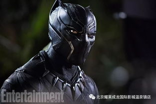 漫威黑豹是什么 是美国漫威漫画旗下英雄
