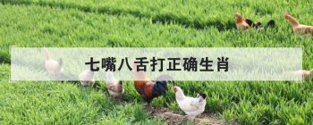 ����������ȷ��Ф ��������һ��ȷ��Ф