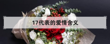 17�����İ��麬�� ��ʾ�����޿���صİ�