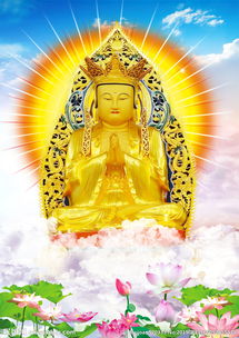 �������������������� ��������������������