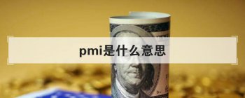 pmi��ʲô��˼ pmi������ʲô��