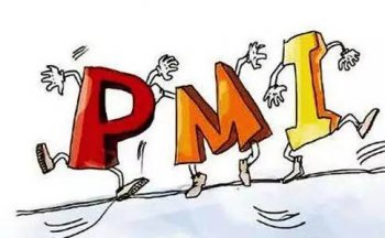 pmi��ʲô��˼ pmi������ʲô��