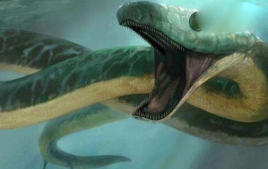 ������ʲôʱ������� ������Ϊʲô������