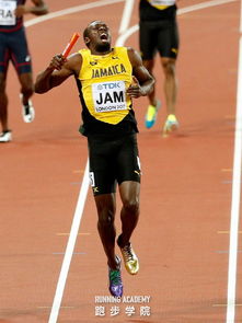 Ϊʲô�����ز���ȫ�� ��û�дﵽ�ҵ�Ԥ�ڽ��