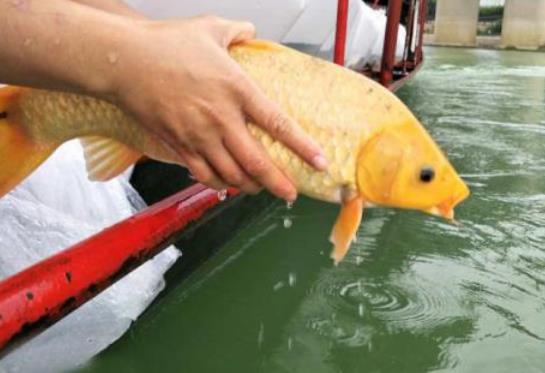 ��һʮ����������� ������֮ǰҪ���򵥵���ʽ