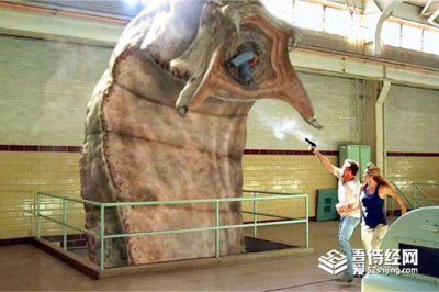 �ɹ�ɳ����ʵ������ �ɹų���