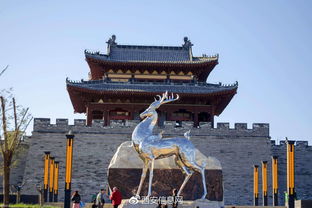 ����漮�й����� ������̨������