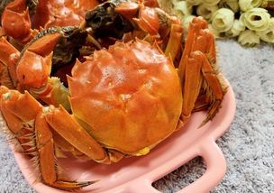 �зҪ����ò������� ���ڹ�����15����