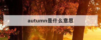 autumn是什么意思 作名词通常意为秋天