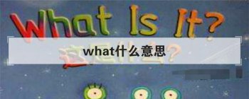 whatʲô��˼ ������ʵĶ����÷�
